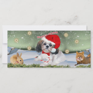 Schip Tzu Santa Paws-cadeaus