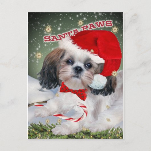 Schip Tzu Santa Paws-cadeaus Feestdagenkaart (Voorkant)