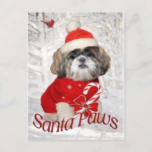 Schip Tzu Santa Paws-cadeaus Feestdagenkaart
