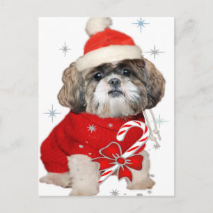 Schip Tzu Santa Paws-cadeaus Feestdagenkaart