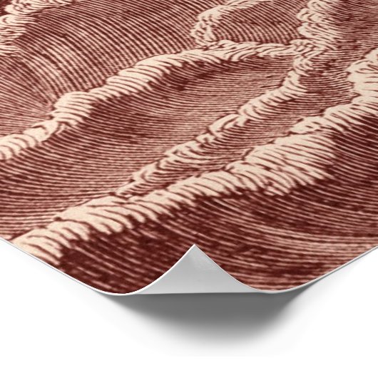 schip vs. octopus poster (Hoek)