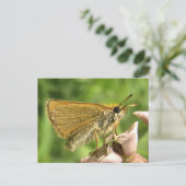 Schipper op Milkweed Briefkaart (Staand voorkant)