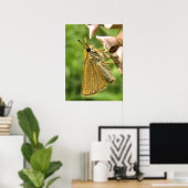 Schipper op Milkweed Poster (Thuiskantoor)