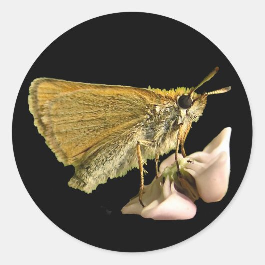 Schipper op Milkweed Ronde Sticker (Voorkant)