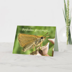 Schipper op Milroos Birthday Kaart