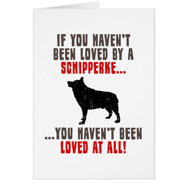 Schipperke (Voorkant)