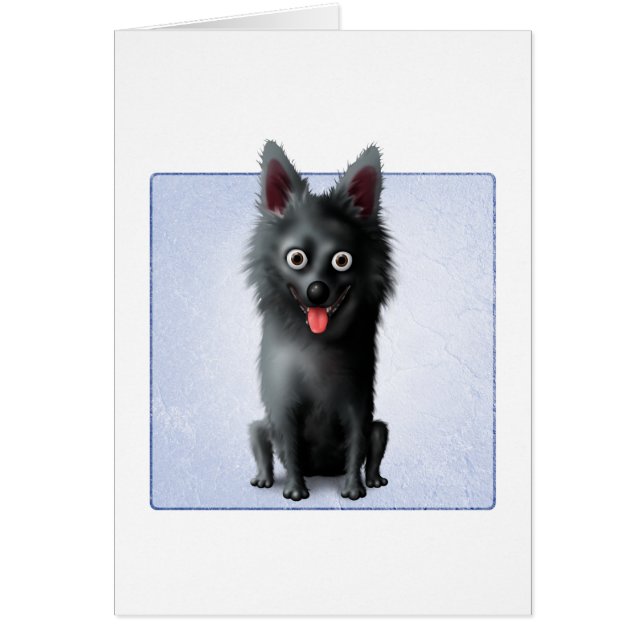 Schipperke (Voorkant)