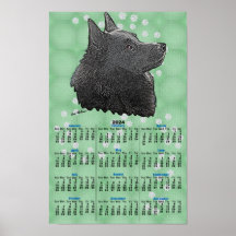 Schipperke 2024 Kalender Poster