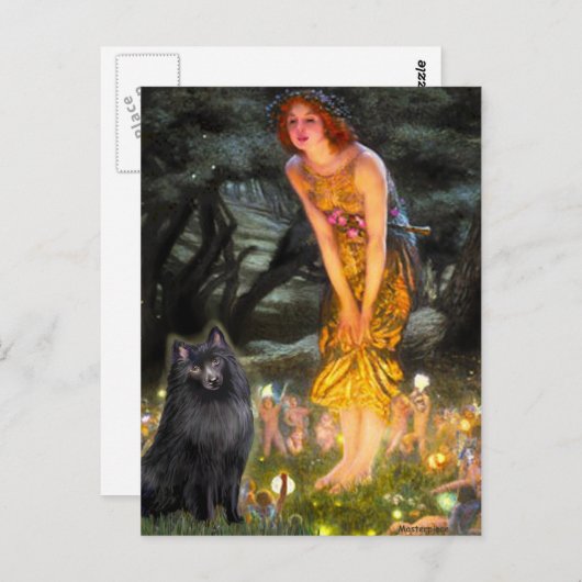 Schipperke 2 - MidEve Briefkaart (Voorkant / Achterkant)