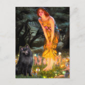 Schipperke 2 - MidEve Briefkaart (Voorkant)