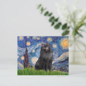Schipperke 2 - Sterrennacht Briefkaart (Staand voorkant)