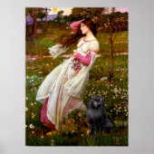 Schipperke 2 - Windbloemen Poster (Voorkant)