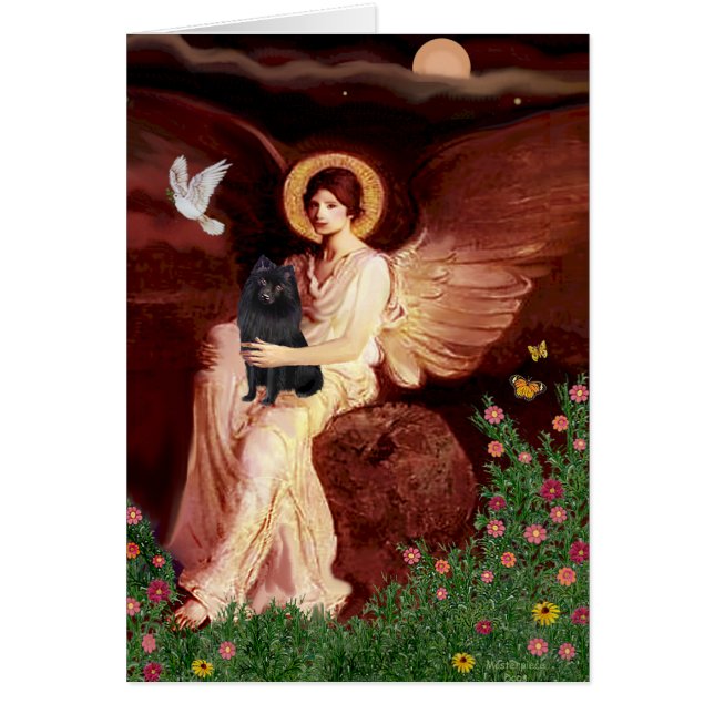 Schipperke 2 - Zittende engel (Voorkant)