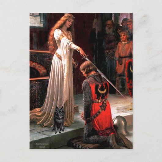 Schipperke 4 - De onderscheiding Briefkaart (Voorkant)