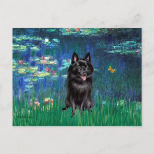 Schipperke 4 - Lelies 5 Briefkaart