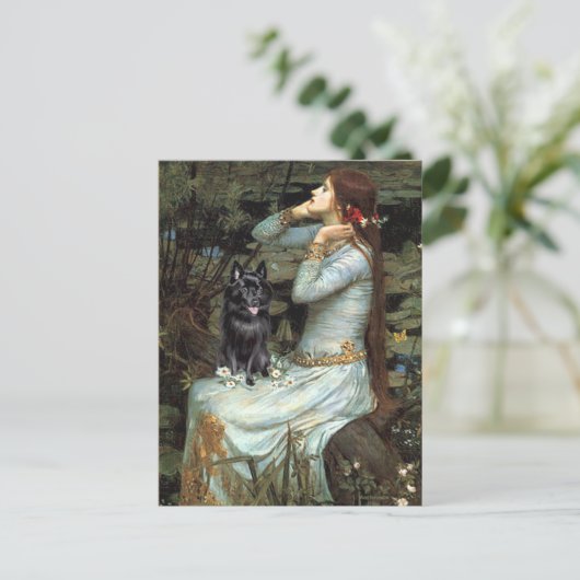 Schipperke 4 - Ophelia Seated Briefkaart (Staand voorkant)