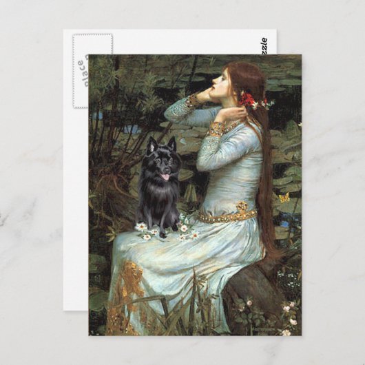Schipperke 4 - Ophelia Seated Briefkaart (Voorkant / Achterkant)