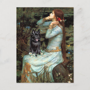 Schipperke 4 - Ophelia Seated Briefkaart