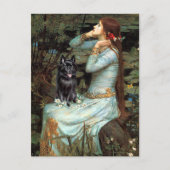 Schipperke 4 - Ophelia Seated Briefkaart (Voorkant)