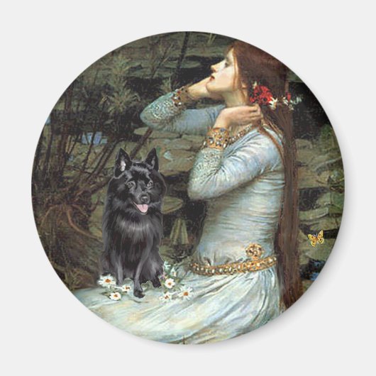 Schipperke 4 - Ophelia Seated Magneet (Voorkant)
