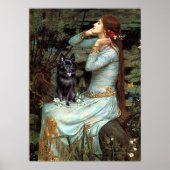 Schipperke 4 - Ophelia Seated Poster (Voorkant)