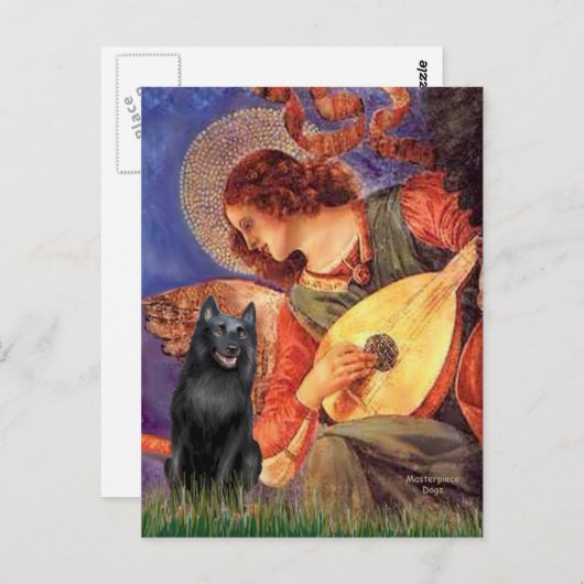 Schipperke 5 - Mandolin Angel Briefkaart (Voorkant / Achterkant)