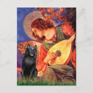Schipperke 5 - Mandolin Angel Briefkaart