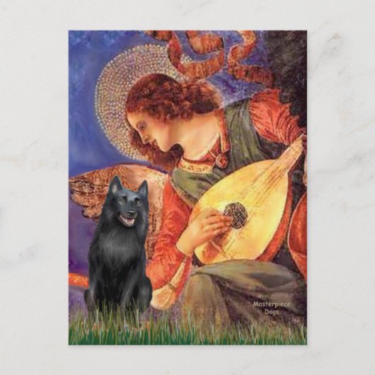 Schipperke 5 - Mandoline Engel Briefkaart (Voorkant)