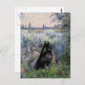 Schipperke 6 - Aan de Seine Briefkaart (Voorkant / Achterkant)