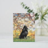 Schipperke 6 - Lente Briefkaart (Staand voorkant)