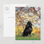 Schipperke 6 - Lente Briefkaart (Voorkant / Achterkant)