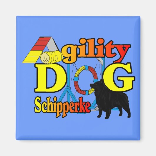 Schipperke Agility Cadeaus Magneet (Voorkant)