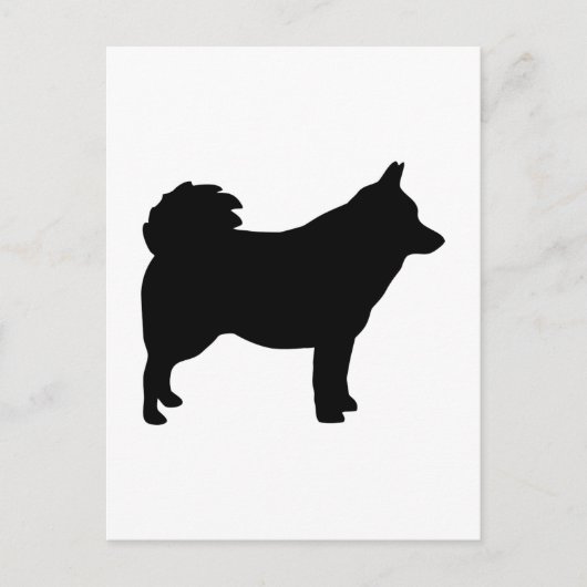 Schipperke Briefkaart (Voorkant)
