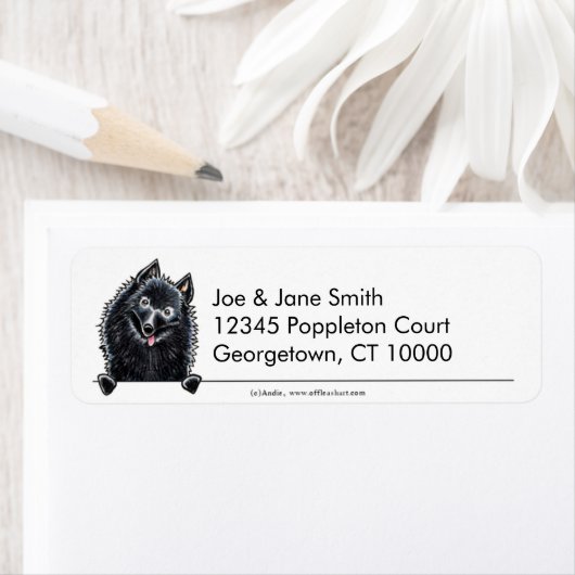 Schipperke Clean in Simple Etiket (Insitu)