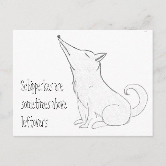 Schipperke Dog Cartoon Briefkaart (Voorkant)