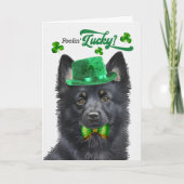 Schipperke Dog Feelin' Lucky St Patrick's Day Feestdagen Kaart (Voorkant)