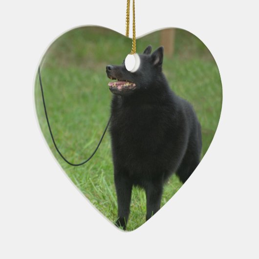 Schipperke Dog Keramisch Ornament (Rechts)