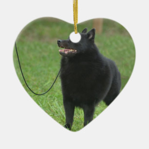 Schipperke Dog Keramisch Ornament