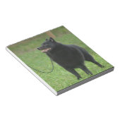 Schipperke Dog Notitieblok (Schuin)