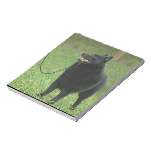 Schipperke Dog Notitieblok (Linkerzijde)