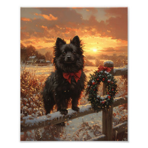 Schipperke Dog Rustic Winter Sunset Foto Afdruk