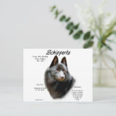Schipperke Geschiedenis Ontwerp Briefkaart (Staand voorkant)
