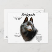 Schipperke Geschiedenis Ontwerp Briefkaart (Voorkant / Achterkant)