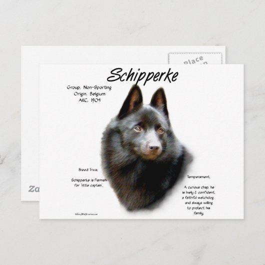 Schipperke Geschiedenis Ontwerp Briefkaart (Voorkant / Achterkant)