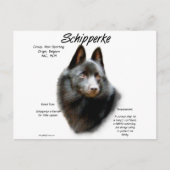 Schipperke Geschiedenis Ontwerp Briefkaart (Voorkant)