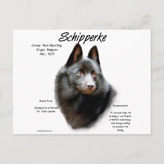 Schipperke Geschiedenis Ontwerp Briefkaart (Voorkant)