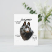 Schipperke Geschiedenis Ontwerp Briefkaart (Staand voorkant)