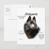 Schipperke Geschiedenis Ontwerp Briefkaart (Voorkant / Achterkant)