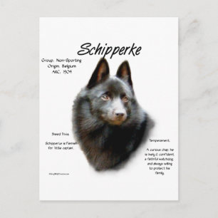Schipperke Geschiedenis Ontwerp Briefkaart