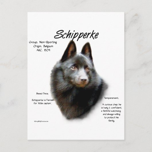 Schipperke Geschiedenis Ontwerp Briefkaart (Voorkant)